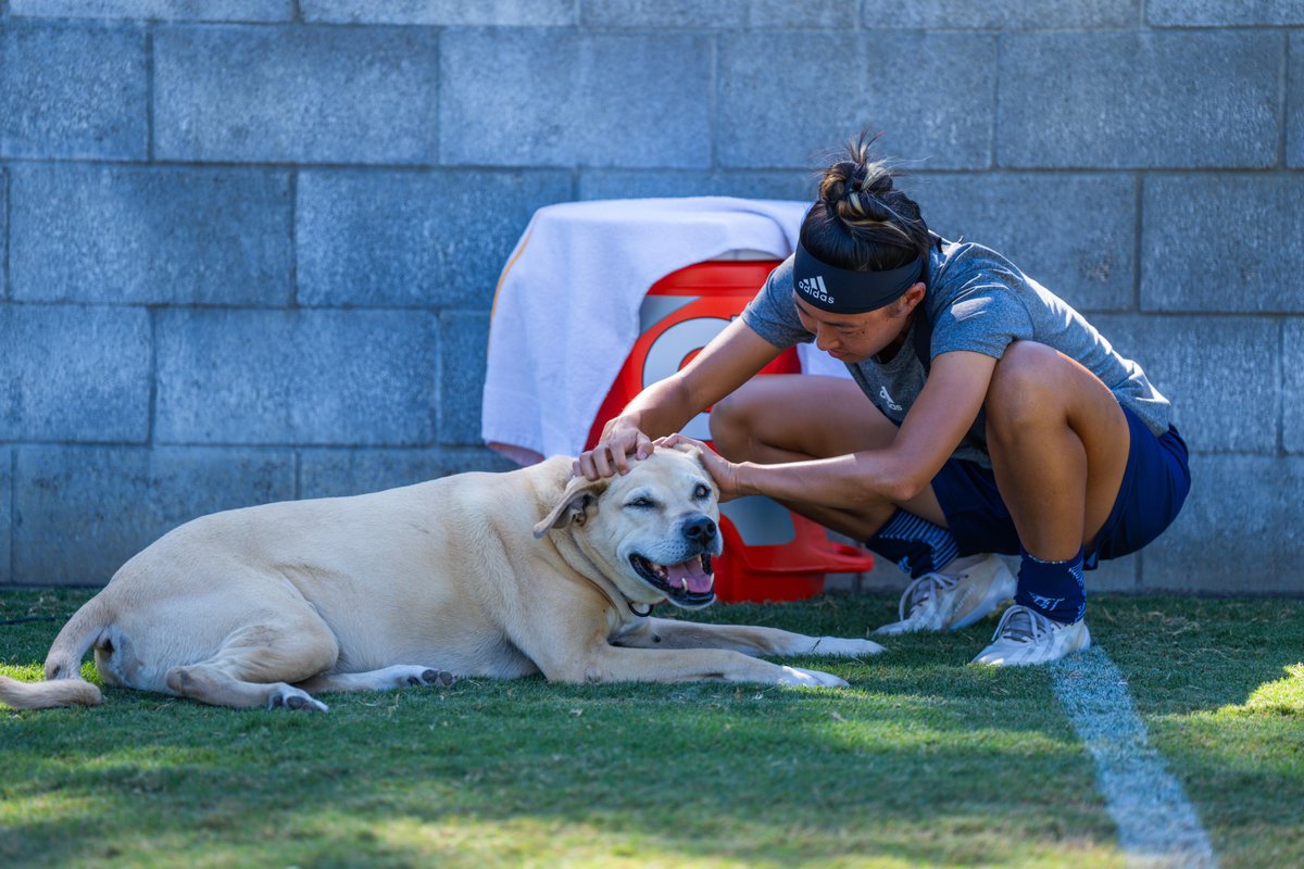 UC Davis Women’s Soccer tweet media