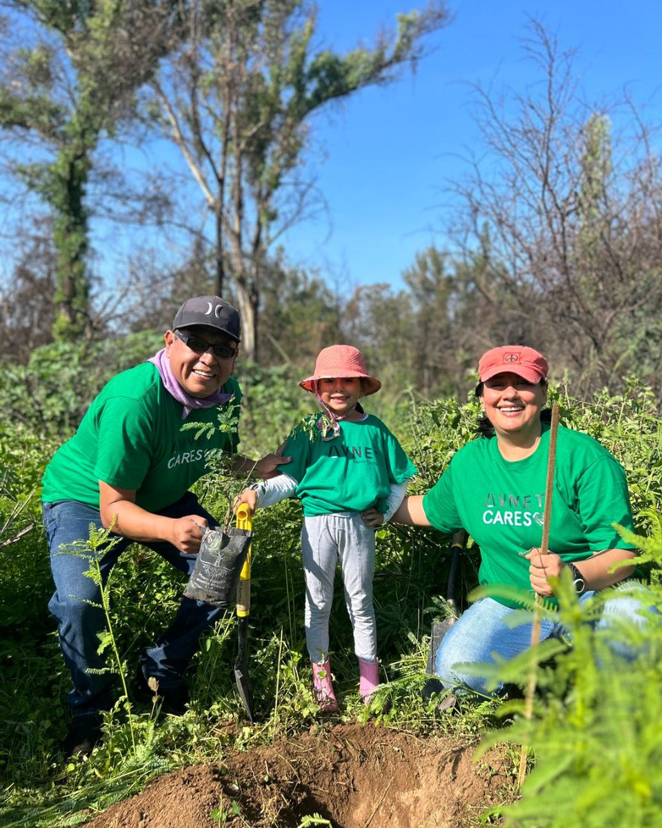 Avnet's tweet photo. This past weekend the Avnet Cares and employee resource groups organized a reforestation project in Bosque el Centinela, Guadalajara, Mexico. The team planted 100 trees with over 90 volunteers. ๐ณ Way to go #TeamAvnet! https://t.co/NRcDqK6MpT