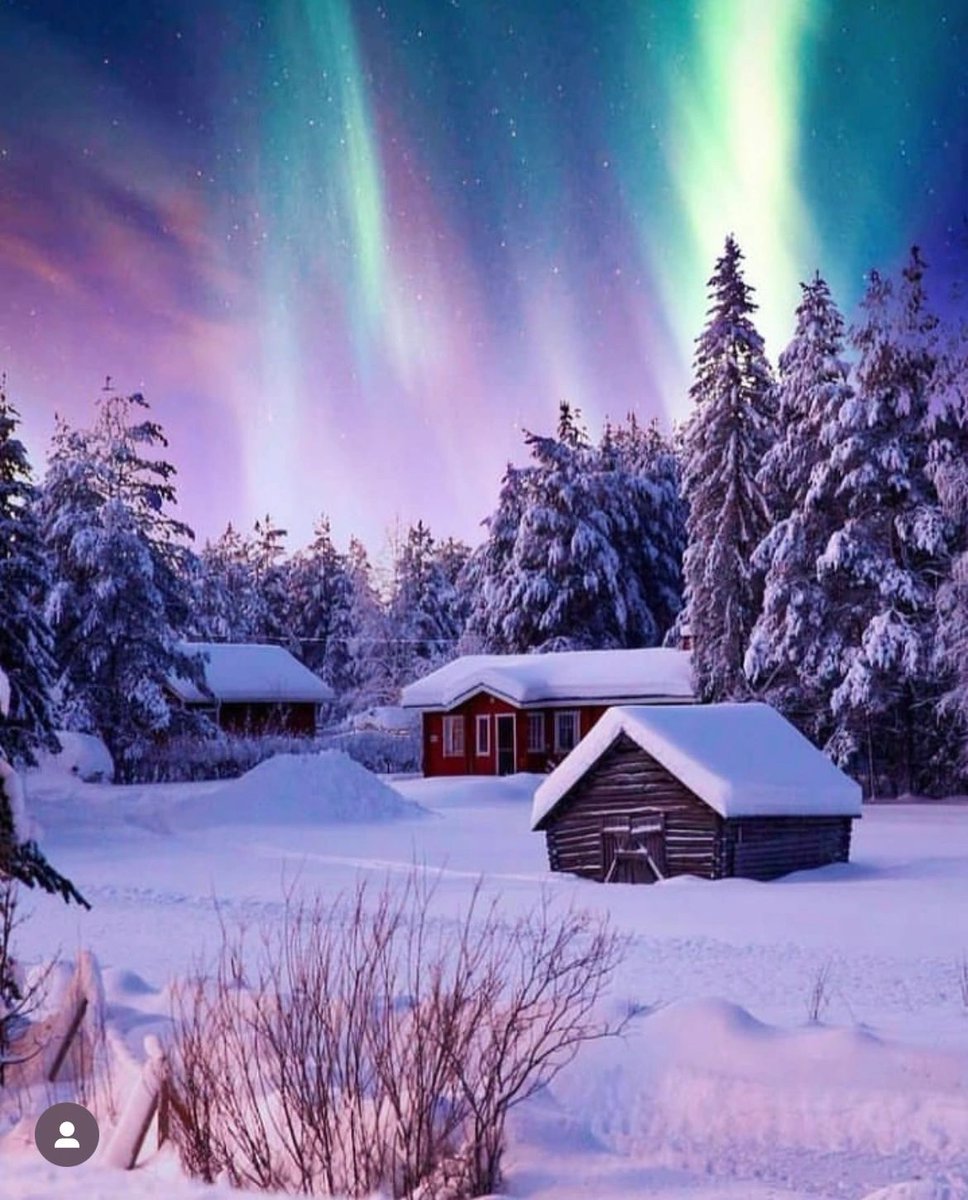 Eileen8Fadi's tweet photo. I want to see the Northern Lights. The Northern Lights are mysterious and dreamy. It is a strange landscape in the North Pole and has attracted countless eager eyes. https://t.co/jrqMFKorOw