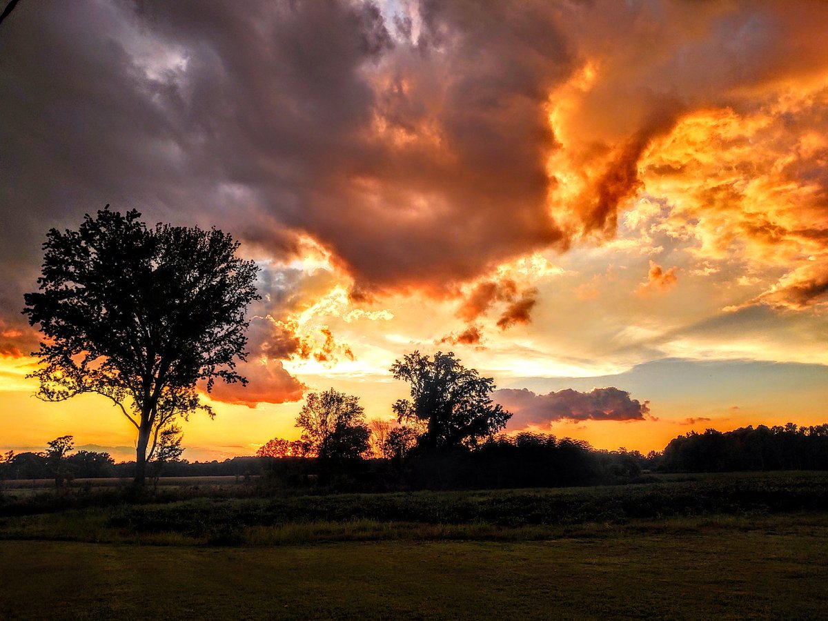 AprilAsaro's tweet photo. @EdPiotrowski  Hartsville Sunset https://t.co/odbYLzgorn