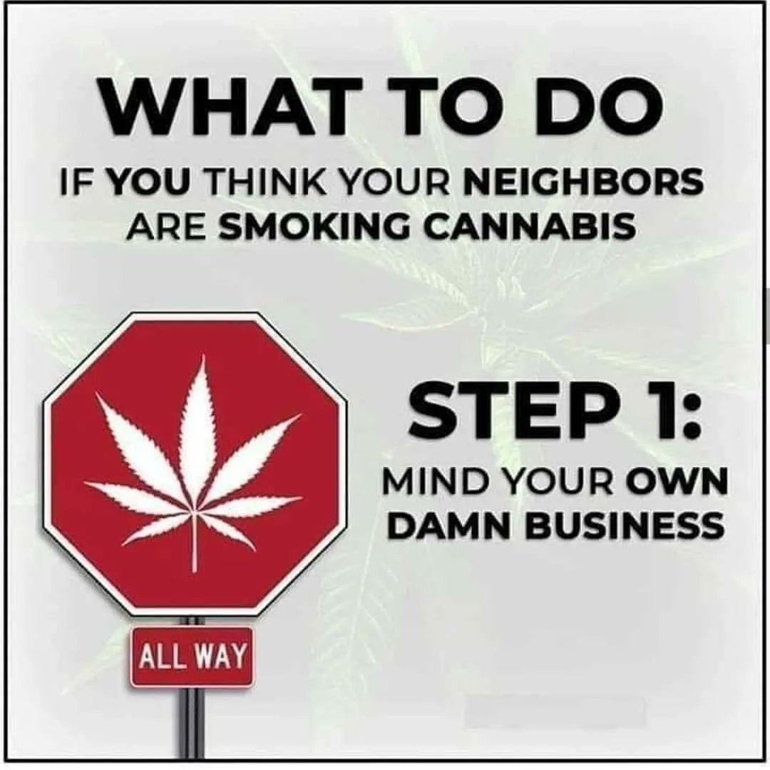 GeniusPothead's tweet image. 🛑