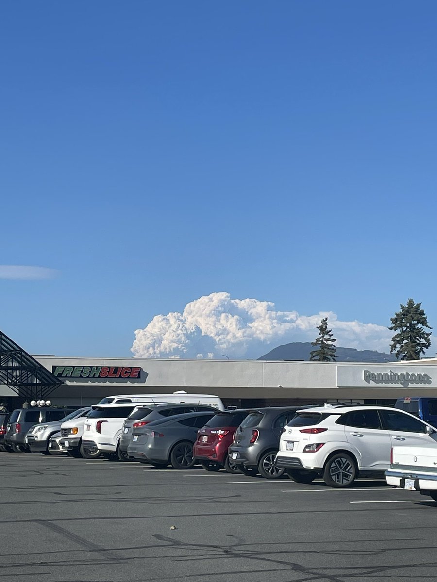 MarloVanMarck's tweet image. Looking at this #pyrocumulus Cloud  in #Chilliwack right now. 
No other clouds in the sky. 
#Wildfire #bcstorm