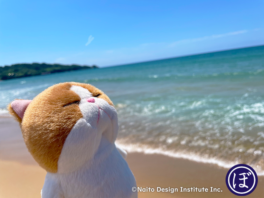 bou__cat's tweet photo. ちゃぼうさん、夏を満喫してました！☀️⛵️ https://t.co/BbLncWVqIK