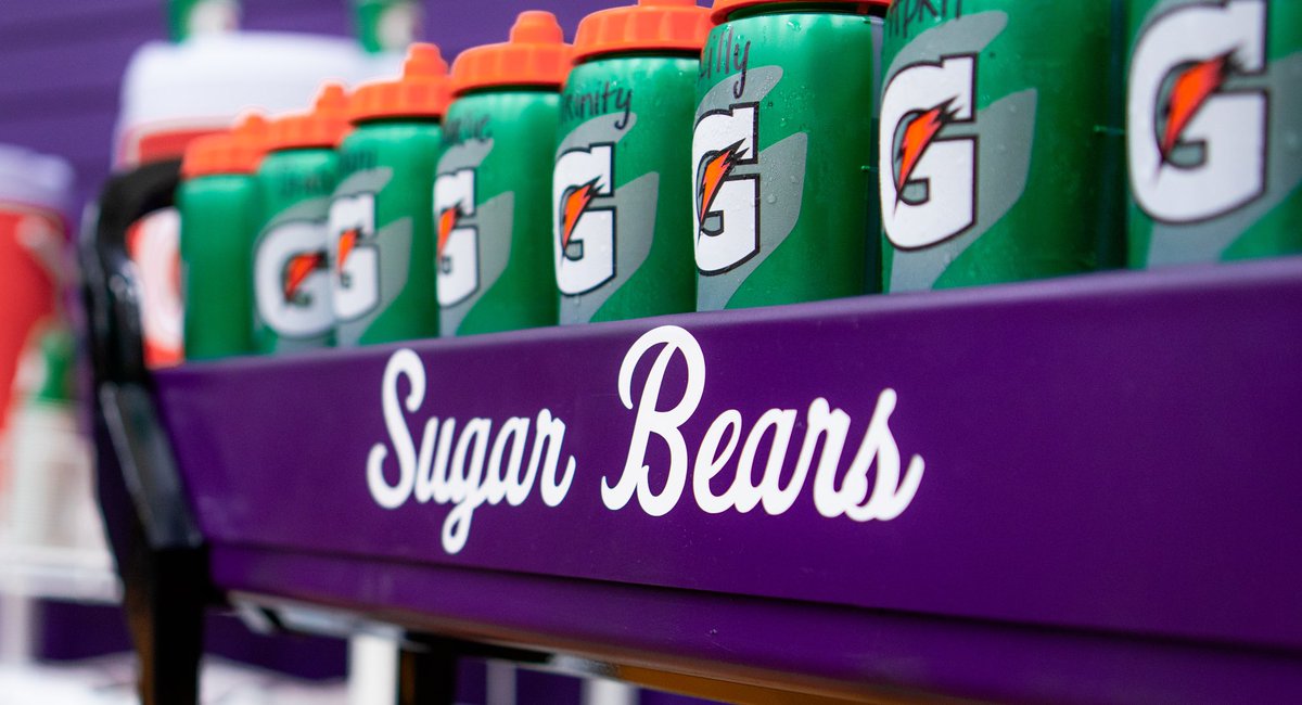 Feels good to be back in the Purple &amp; Gray 

#BearClawsUp x #SugaSuga