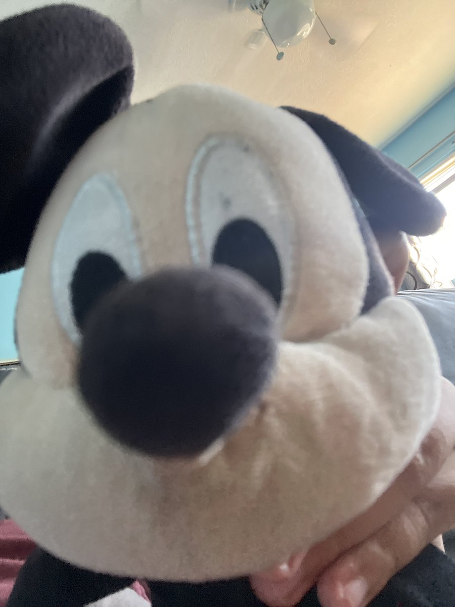 Well this is my first X post, Mickey says hi