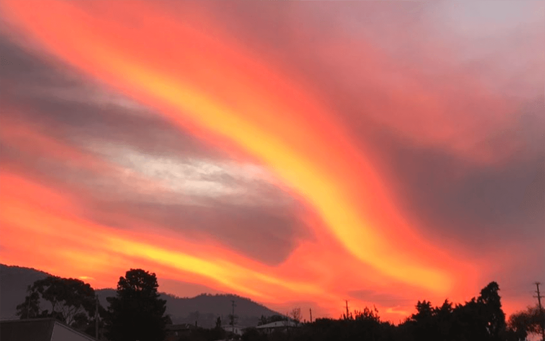 We’re pleased to share our latest MSS &amp; @HighwaysByways1 newsletter: bit.ly/3QGhdiT
With stories &amp; photos from our 79th anniversary of foundation celebrations, Voice referendum, reflections &amp; news of the 2023 grant recipients. Grab a cuppa, get cosy &amp; enjoy the read!