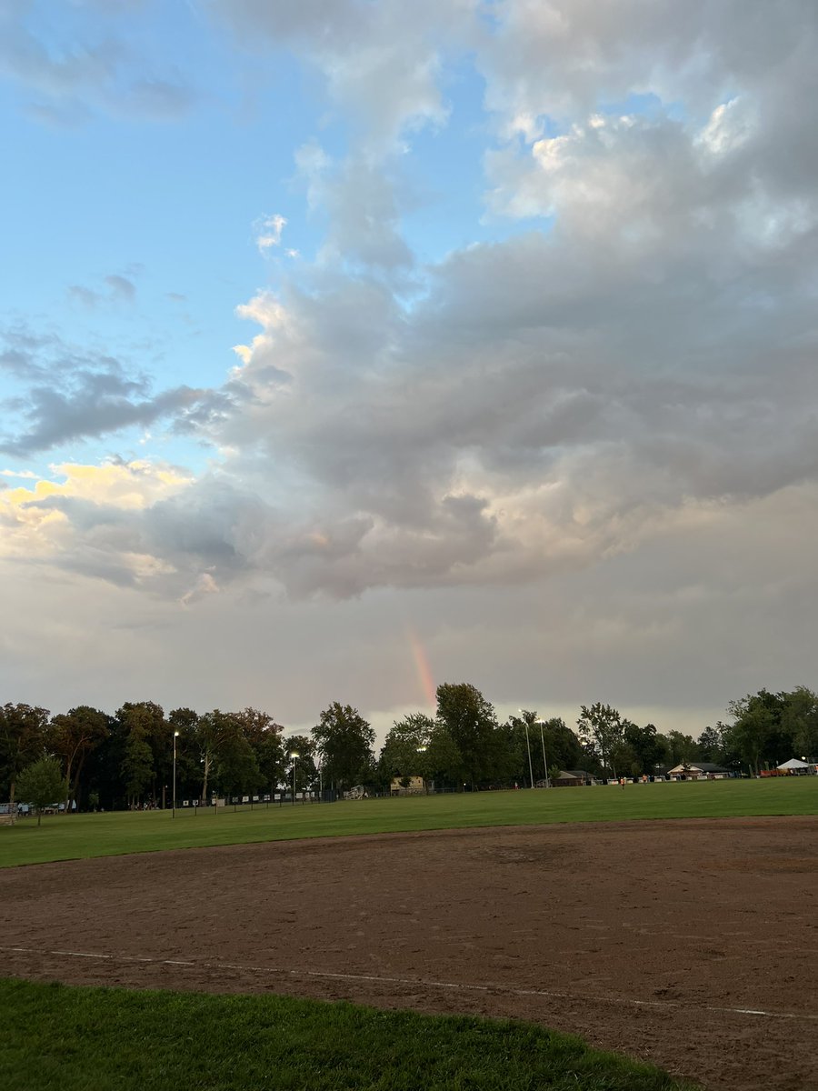 Did Knaps Win? tweet media