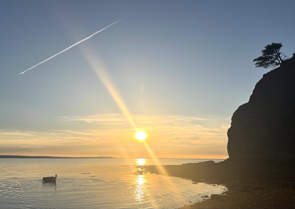 webnewfie's tweet photo. Someone got a sunset for their flight home tonight. 

Summer 2024 in Western Newfoundland. 

Looking West across East Bay, Port au Port East, Newfoundland. 

#goldenretriever 
#PortauPortNL
#Newfoundland https://t.co/dr2cywCs7L