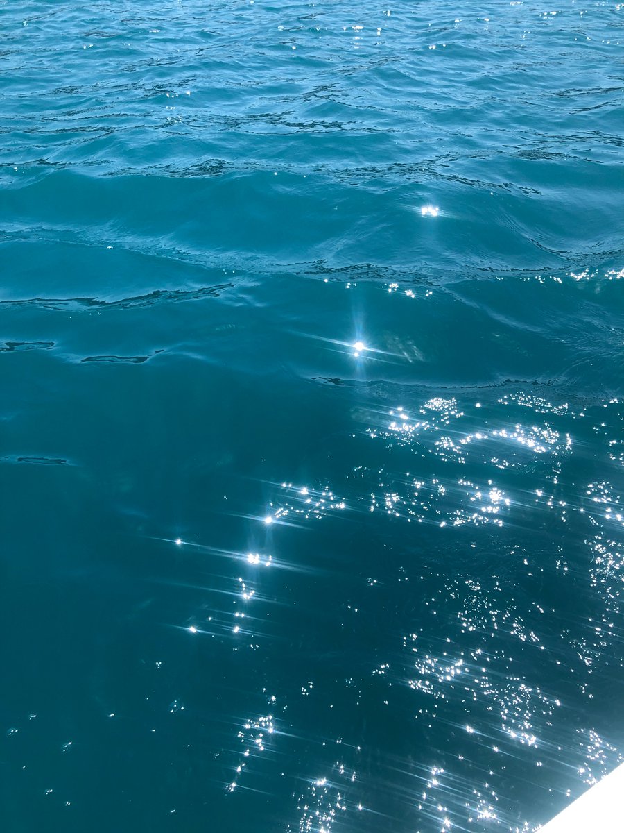 4o19_'s tweet photo. 💧✨ https://t.co/1sK0DgGs6B