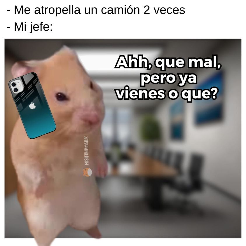 ChorizoCriticon's tweet photo. 🫠 https://t.co/4Ju5WpIuYW
