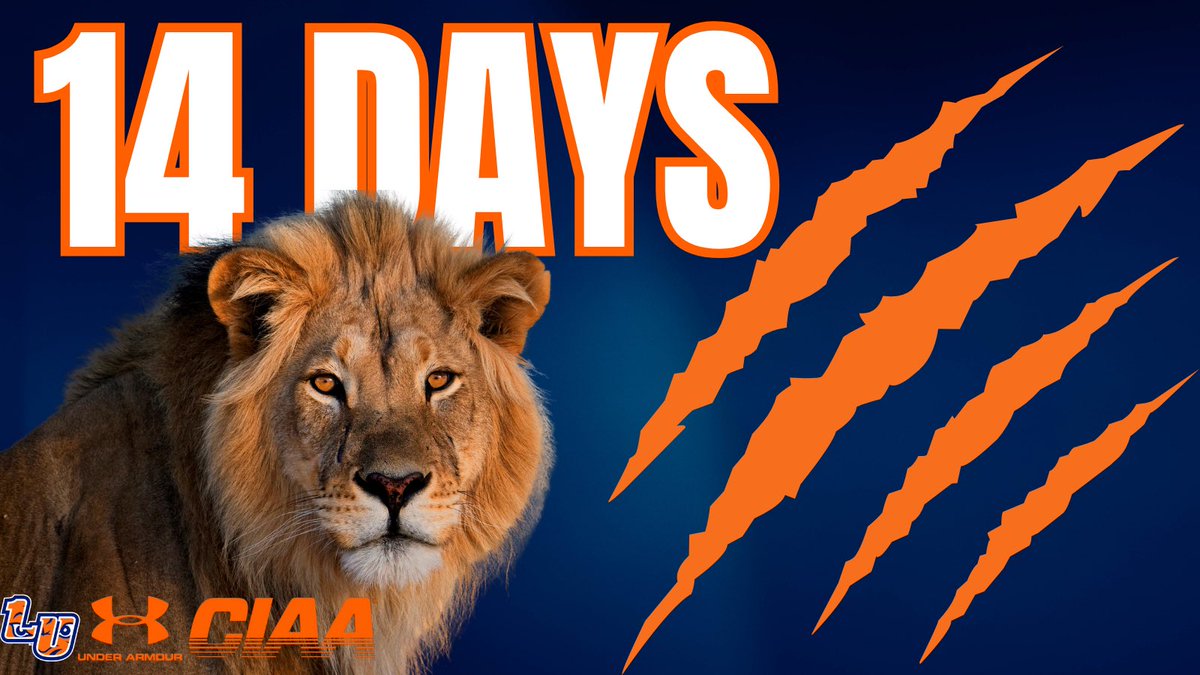 LUL1onsFootball's tweet photo. 14 Days until we take on Clarion University! 

LU Athletics Stadium
7pm 

#LUPr1de #ProtectThePr1de #TheLionWay #PR1DE 

🔵🦁🟠 https://t.co/p3biiOG2Il