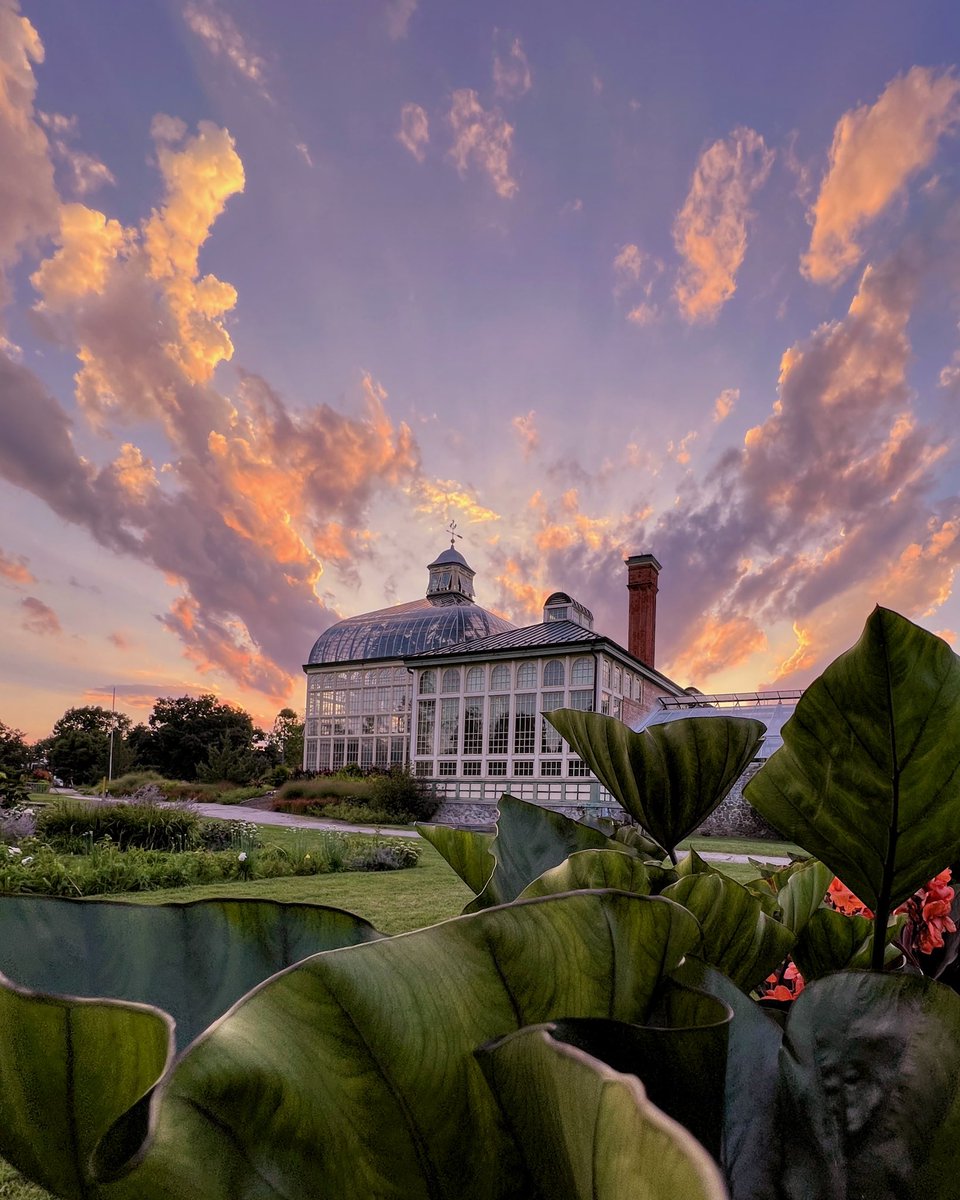 Aaron Burden tweet media