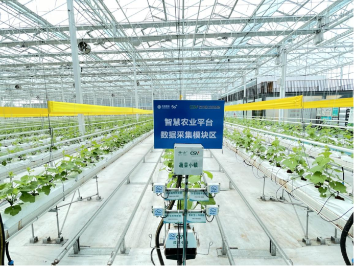 ChinaMobile_X's tweet photo. In China's Shandong Province, #ChinaMobile has made comprehensive use of 5G, Internet of Things and other technologies to vigorously promote the combination of digital economy and agricultural production, and launched agricultural solutions such as smart planting and breeding. https://t.co/v0m5tU1v3V