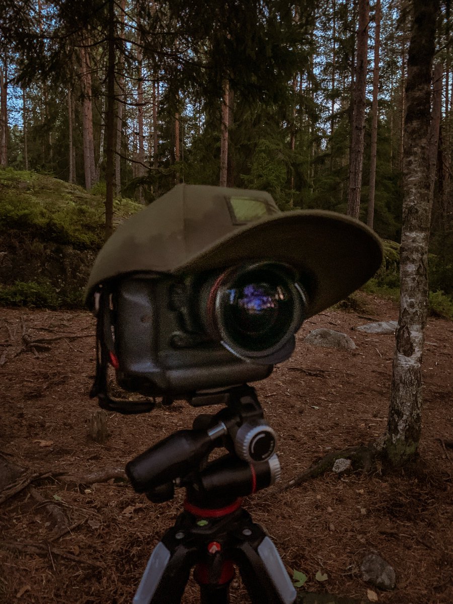 Hiezu79's tweet photo. Kuntoutusloma! Ulkoilua!
Täällä ollaan!
Päivällä todella kuuma… 
#nuuksio #eräjorma
#ulkoilua #espoo #nature #auringonlasku https://t.co/Tl12pVmlSx