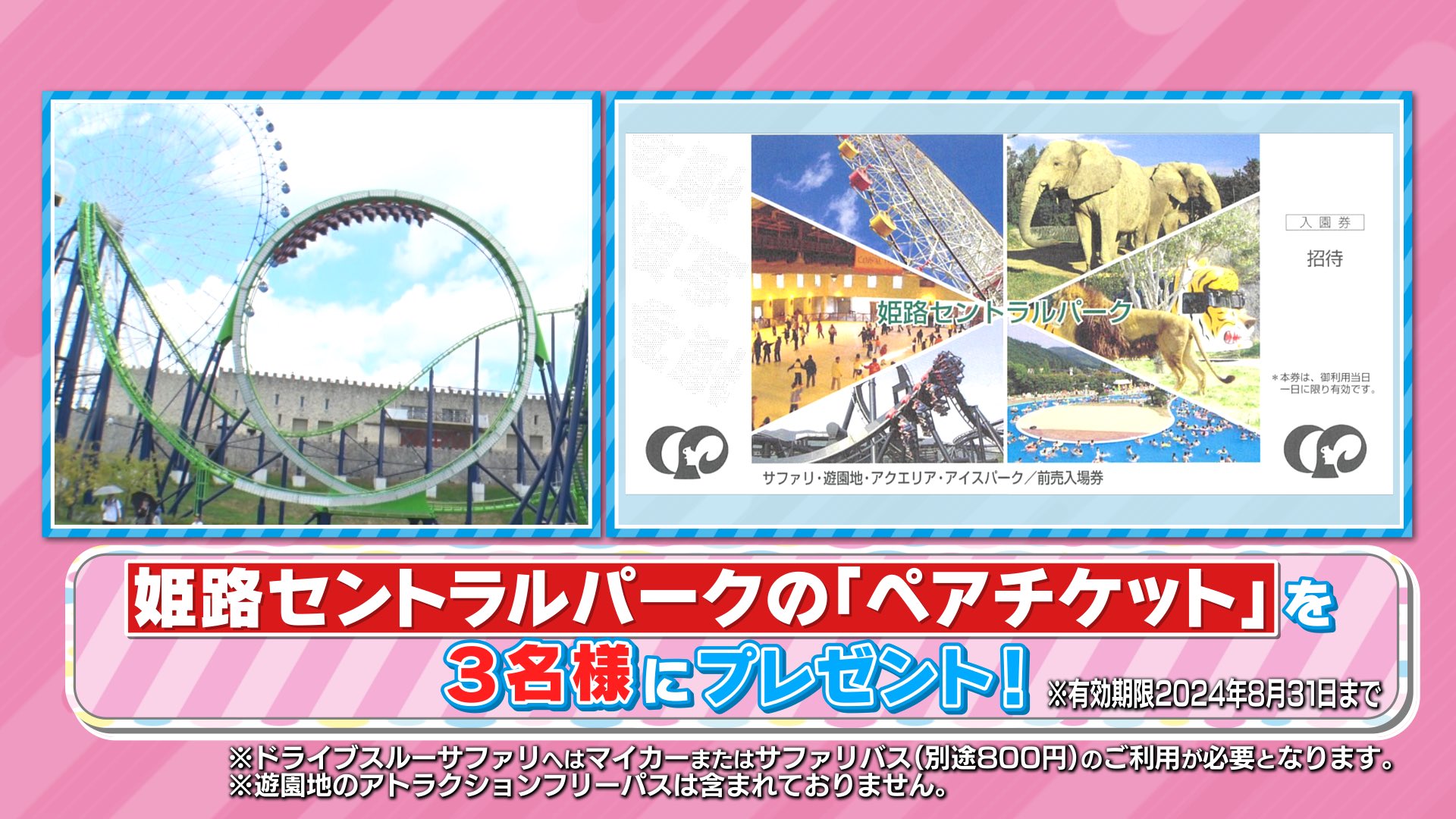 姫路セントラルパークチケット 姫路セントラルパーク入園券大人3枚 