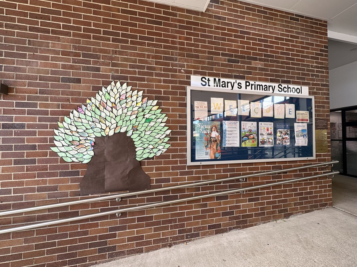 We are supporting the National Day of Action Against Bullying and Violence… our Connection Tree shows what our students value about our safe and supportive school.