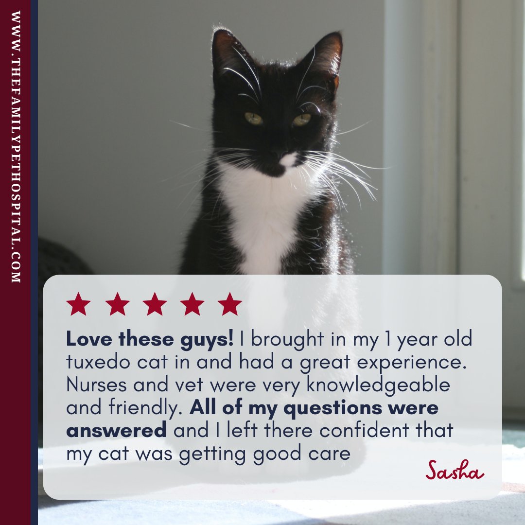 thepetdr's tweet photo. ❤️ Your Kind Words Mean the World to Us! 🐾

Helping your furry companions thrive is our greatest joy! 
🐶🐱 Thank you for your continued support and trust in us! 

#thefamilypethospital #ashlandma https://t.co/WPncqFZv6W