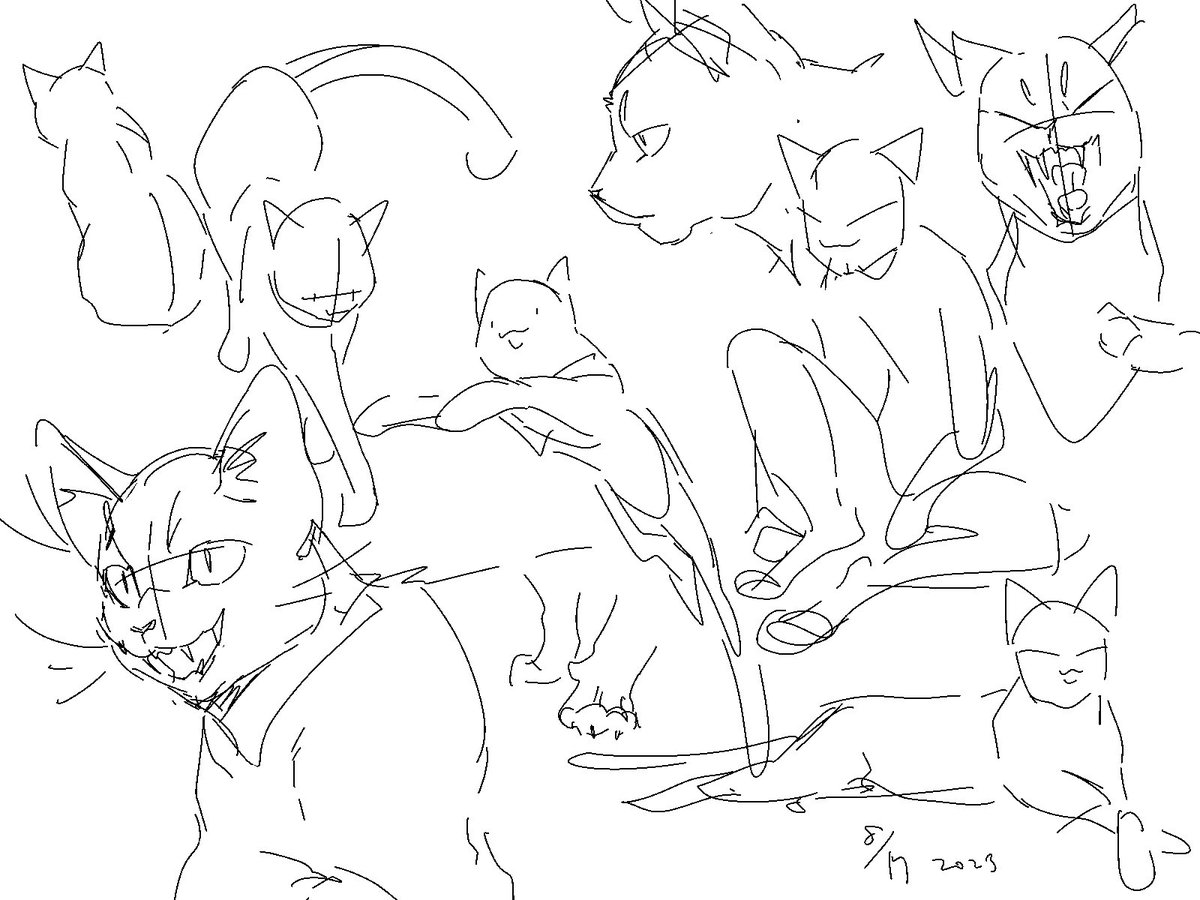 Tbh devastating that I can't do the same kind of sketches with the same amount of time with humans but boy can I draw cats 