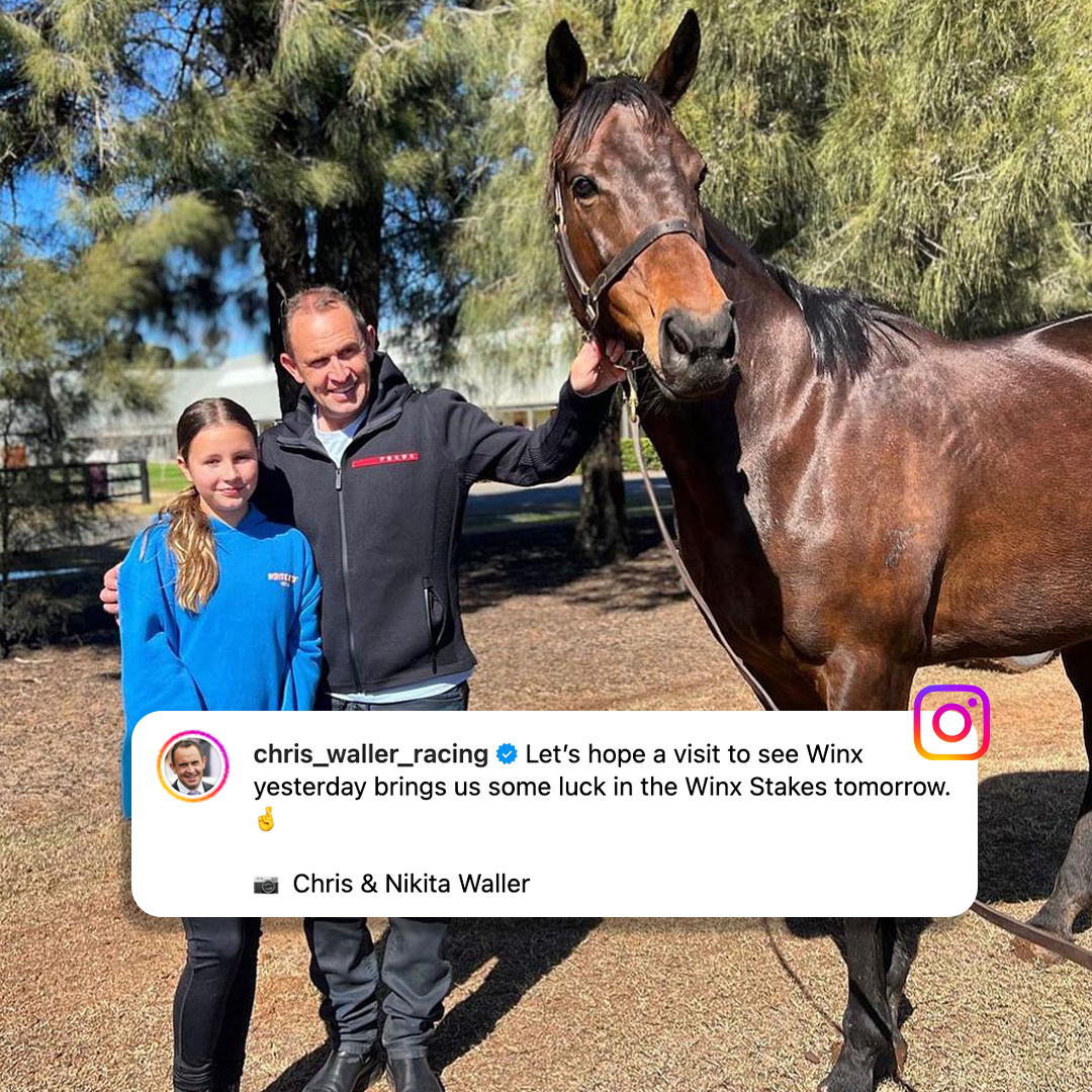 Things you love to see 😍 @cwallerracing visited #Winx yesterday for some good luck tomorrow in the Winx Stakes! 🎟 Winx Stakes Day Tickets: bit.ly/47qoTMq