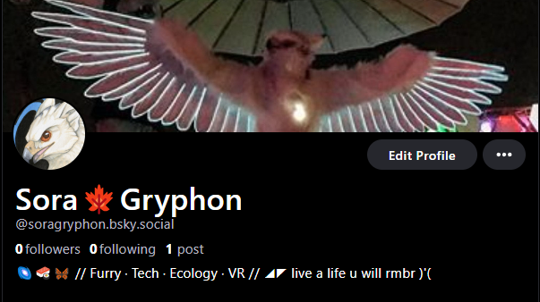 A magical new world to laugh and fly and doodle and dream in!