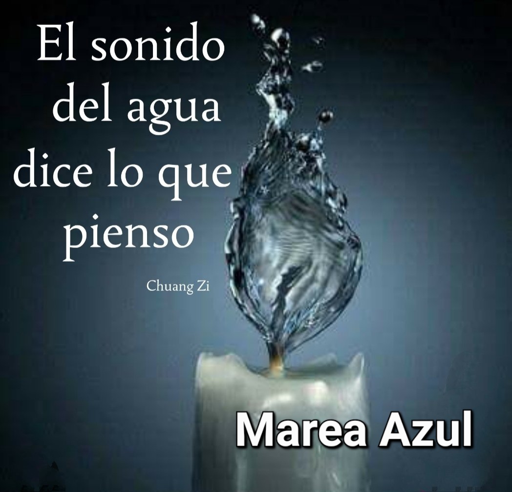 <a href="/macasaga2/">M.Carmen 💛🤗🍀</a> <a href="/Madeira_32/">Mirya</a> <a href="/macasaga1/">MªCarmen 🫂⚖️🥰</a> <a href="/Mar2Manuel/">ManuelMar2</a> <a href="/Mariska__6/">Mariska 😎🤍🍀</a> <a href="/Manuel966521491/">Manuel</a> <a href="/Rogelia50318250/">Rogelia</a> <a href="/Chacho66666/">Manolito</a> <a href="/Iria_Celta/">Iria🌸</a> <a href="/anmart311/">ana</a> <a href="/mcg_mlg/">Maria del Carmen Gomez Miranda</a> <a href="/Marimar66842849/">Marimar</a> <a href="/arancha2458/">Arancha</a> <a href="/Teresa84977979/">Teresa</a> <a href="/DylaneAzul/">Dylane</a> <a href="/tuneadora432/">Santa Paciencia</a> <a href="/Luisa43833694/">EN💙CONTRA💦DE💙LAS💦INJUSTICIAS</a> <a href="/elsa09164082/">elsa</a> <a href="/Mari777Bel/">MARIBEL 🦋🦋☘️🦋🦋</a> <a href="/Cloe_bailarina/">CLOE</a> <a href="/Guagua333344/">yayo123</a> <a href="/Flor33180171/">Flor</a> <a href="/NT83631763/">N. T</a> @Rufo_piloto @Erylea01 <a href="/Azul_MAR0050/">A z U l M a R 💫⭐️💫</a> <a href="/giannioma/">Julia Domingo</a> <a href="/Pita5555555/">Yayo112345</a> <a href="/AnaMemi29/">Any Marea Azul 💙💙💙🌊🌊🌊</a> @DelRiveroPily9 <a href="/Nonil1234567/">Sweet669</a> <a href="/FedoraPayan/">Fedora</a> @_aurora_boreal5 <a href="/Gloria26326305/">GLORIA 💙</a> <a href="/Marisol75752342/">Mari</a> <a href="/Maria69905985/">Maria🥀🌻🌊💙👗</a> <a href="/B79434040/">B</a> <a href="/betusca9/">betusca971</a> <a href="/tarapoto3001/">Flor</a> <a href="/AsomadaAlEspejo/">Espejo Azul</a> <a href="/FuerzaMareaAzul/">LaMareaNoSeRinde</a> <a href="/Meredith__Azul/">Meredith Azul</a> @mihaylova_irena <a href="/Fierecilla3001/">Flor</a> <a href="/Marea_Azul24/">Siempre Marea💙💙💙</a> <a href="/elena_antequera/">Ele Antequera</a> <a href="/2653_gladis/">Arre Borriquito💙💙</a> <a href="/NT40912409/">NT</a> #YoMeRebelo18A
#YoMeRebelo19A
"A los que andan por la vida arruinando la de otros y luego siguen como si nada, recuerden....
La vida es un círculo, todo vuelve y te pega donde más duele"
