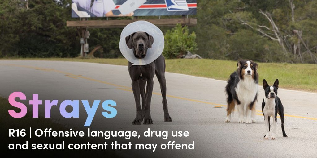 NZOFLC's tweet photo. #Strays was rated R16 for offensive language, drug use and sexual content that may offend. If you’re planning on watching this film, check out our short guide to learn more about the age rating and content warning.

Guide: https://t.co/2PE0Dtxgb3 https://t.co/XxmXEPR8BJ
