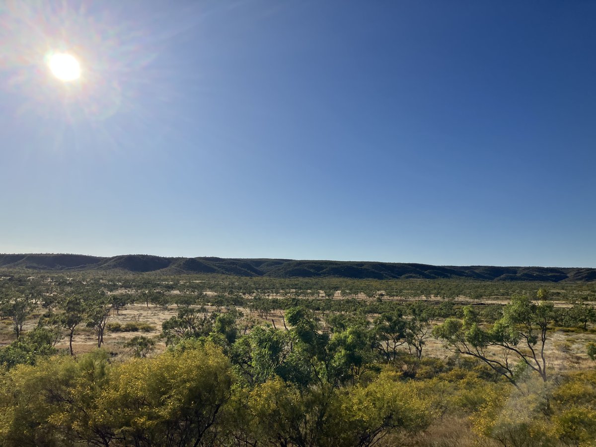 EverickHF's tweet photo. #FieldworkFriday It isn't often that you spot a camel in the wild! Our team has recently been working in Kalkadoon country. #Everick is privileged to work with Traditional Custodians across the diverse #landscapes of Australia. #culturalheritage #heritagematters https://t.co/JxUuRCObSG