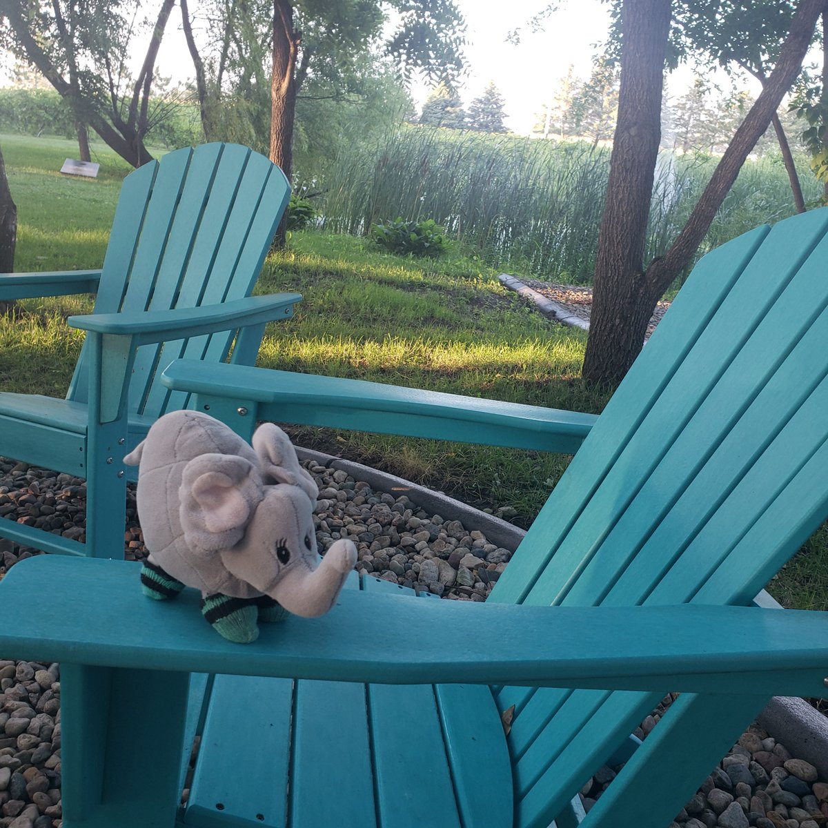 filtheelephant's tweet photo. Found a cool blue chair to plop my tail on @nextchapterwinery https://t.co/yfRmdYw0CG