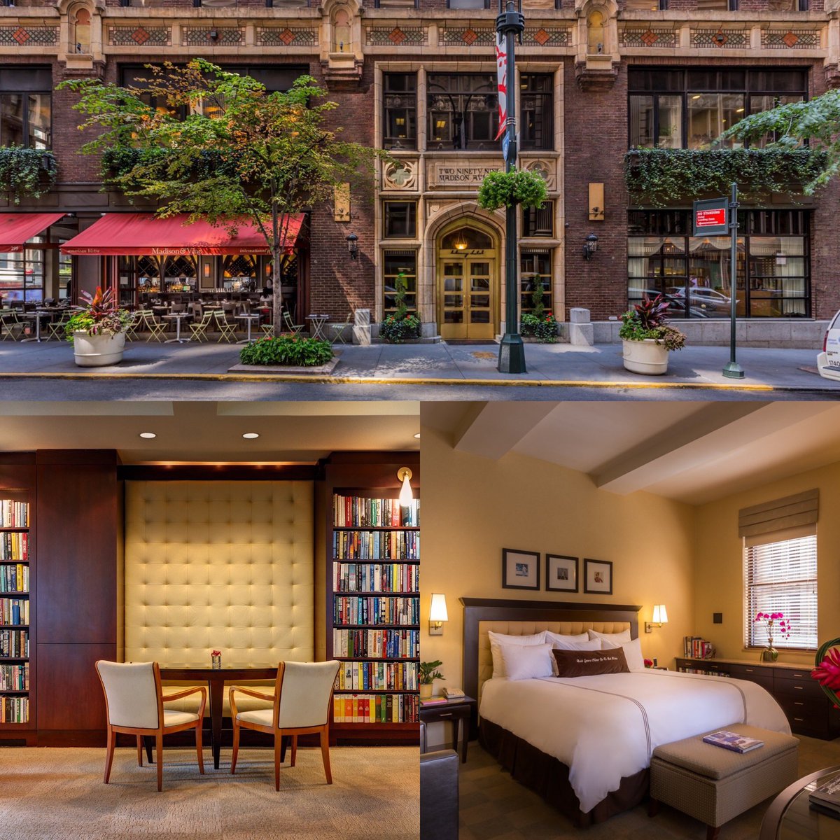 The World of Hotels (@aworldofhotels) on Twitter photo The <a href="/LibraryHotel/">Library Hotel NYC</a> in New York City has a unique literary twist. Each floor is dedicated to a major classification in the Dewey Decimal System, and every room contains a collection of books and art related to that theme.
Book Here: libraryhotel.com
Follow me for more The <a href="/LibraryHotel/">Library Hotel NYC</a> in New York City has a unique literary twist. Each floor is dedicated to a major classification in the Dewey Decimal System, and every room contains a collection of books and art related to that theme.
Book Here: libraryhotel.com
Follow me for more
