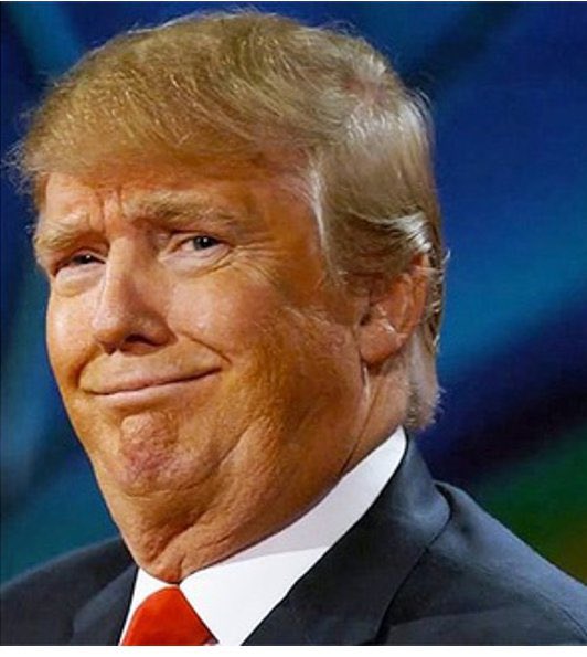 SaftyInNumbers's tweet photo. @itsJeffTiedrich @JTGuitar9 And Trump is upset with Fox Propaganda because they used this photo. https://t.co/fV5XOjGJb9