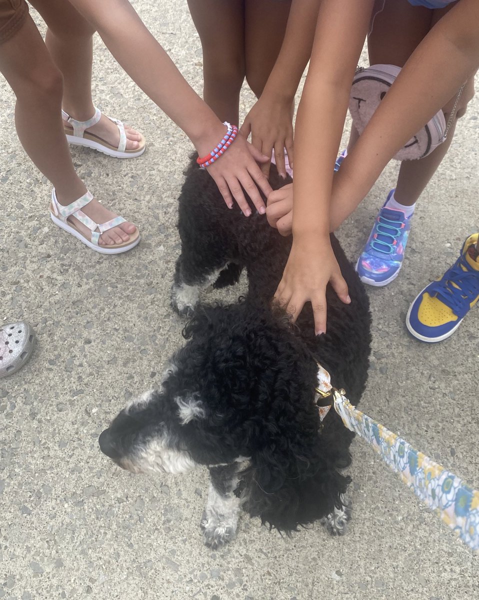 Sunny made his debut today and loved all the love!🌞🌞❤️❤️