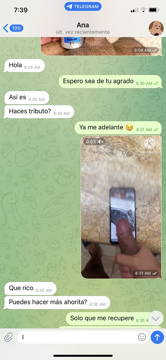 Single Traveler tweet media