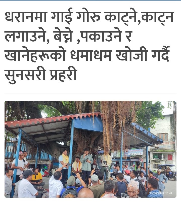 . tweet media