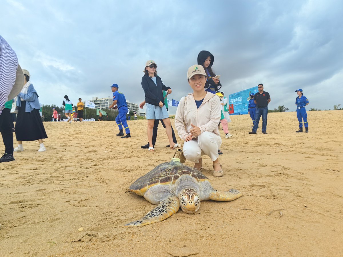 ChinaMobile_X's tweet photo. Recently, ten turtles were back home in the ocean after rescue in Hainan, China, including two with the #ChinaMobile developed turtle trackers. https://t.co/TOhL0Bl2U5