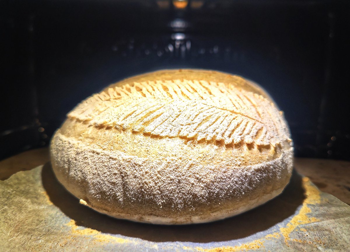 Sneak peek of this morning's bake. Only been in the over for ten minutes, just love how the dough springs up.
#ShareYourLoaves #artisanbaker #artisanbread #bakeyourownbread #davebakesbread #bread #breadbaker #breadmaking #realbread #RealBreadCampaign #sourdough