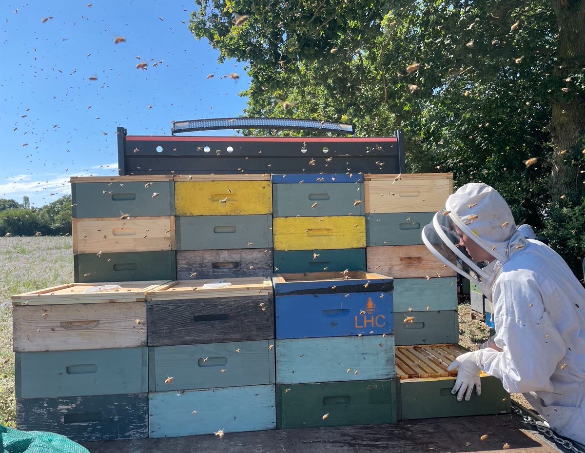 ⁦@LondonHoneyCo⁩ loading the supers to bring the honey 🍯 home…wearing Apiarist suit with ClearView veil ⁦@B_J_Sherriff⁩ #honey #livebees #bees #aparists #Apiarist #lovebees #lovehoney