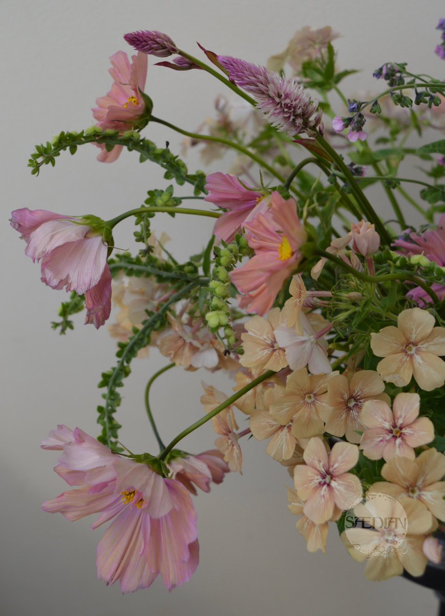 ShopSaedian's tweet photo. Happy #FlowersOnFriday I think this might be my favourite combination at the moment, all super easy to grow from seed and last really well in a vase. 🌱🌿💚
#FromSeedToFlower #WhatsInYourVase https://t.co/kUTTZXEH1D