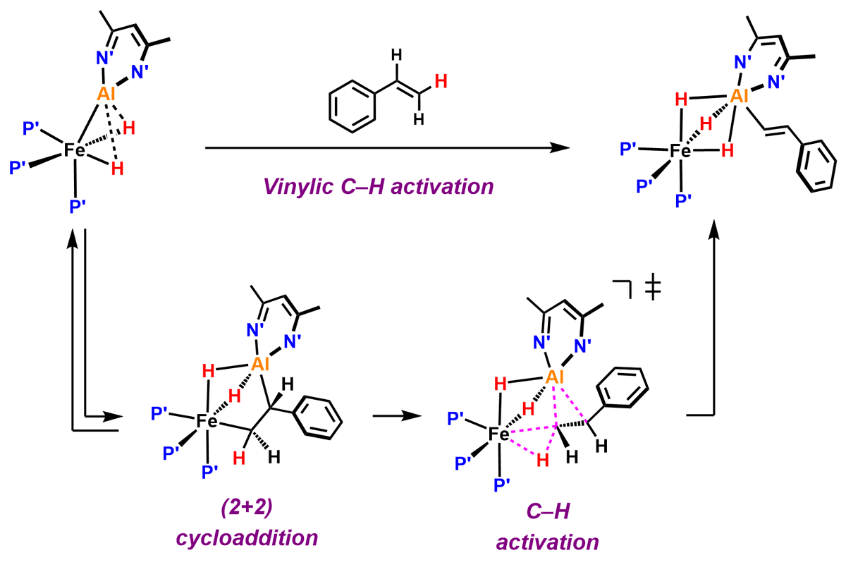 New @ChemRxiv preprint from @NGorgas and @benedekstdlr. They show that a Fe–Al bimetallic can selectively activate C-H bonds of alkenes to form E-stereoisomers. A new mechanism, not seen with single-site metal complexes, is proposed. More details here: chemrxiv.org/engage/chemrxi…