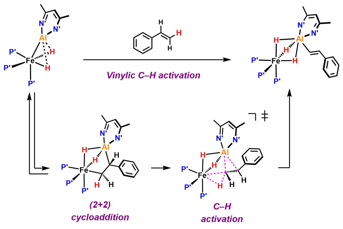 Crimmin Group (@crimmingroup) on Twitter photo New <a href="/ChemRxiv/">ChemRxiv</a> preprint from <a href="/NGorgas/">Nikolaus Gorgas</a> and <a href="/benedekstdlr/">Benedek Stadler</a>. They show that a Fe–Al bimetallic can selectively activate C-H bonds of alkenes to form E-stereoisomers. A new mechanism, not seen with single-site metal complexes, is proposed. More details here: chemrxiv.org/engage/chemrxi… New <a href="/ChemRxiv/">ChemRxiv</a> preprint from <a href="/NGorgas/">Nikolaus Gorgas</a> and <a href="/benedekstdlr/">Benedek Stadler</a>. They show that a Fe–Al bimetallic can selectively activate C-H bonds of alkenes to form E-stereoisomers. A new mechanism, not seen with single-site metal complexes, is proposed. More details here: chemrxiv.org/engage/chemrxi…