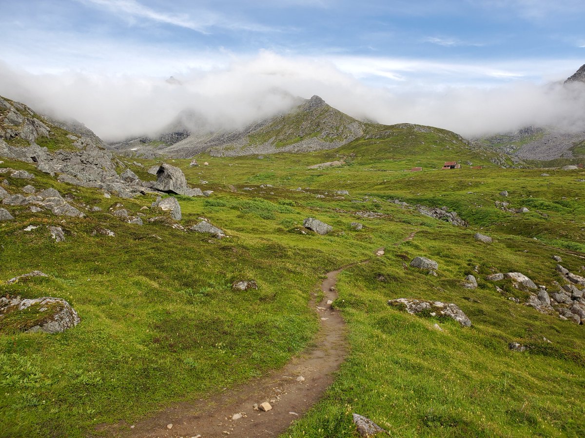 Layla Lawlor tweet media