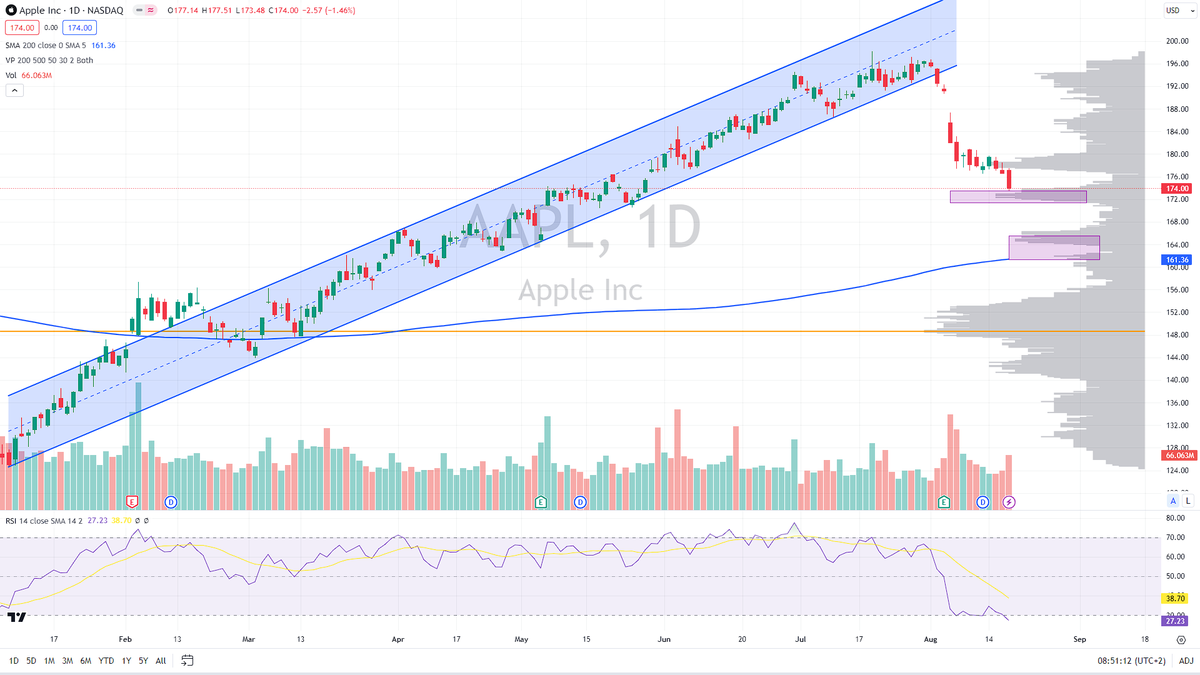 • $AAPL continues to decline, about to test volume node support near $172. Considering the oversold conditions (RSI below 30), we might see a bounce off that level.

• Another major support is in $165 - $161 area, where second volume node is converged with the 200-day average.