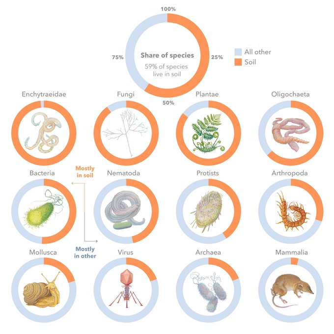 UN Biodiversity tweet media