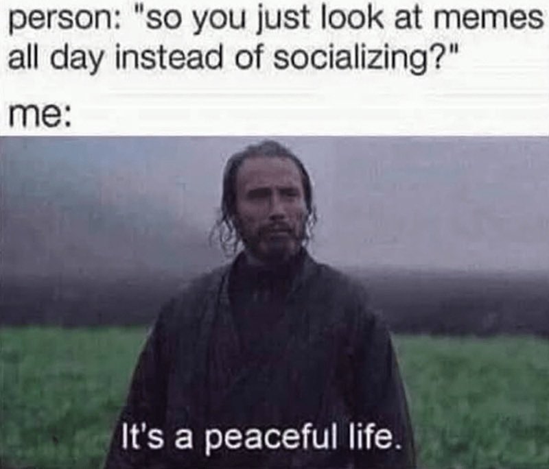 MemeStreamDaily's tweet photo. Who else can relate? 😂
#memelife https://t.co/56M4lbqZlD