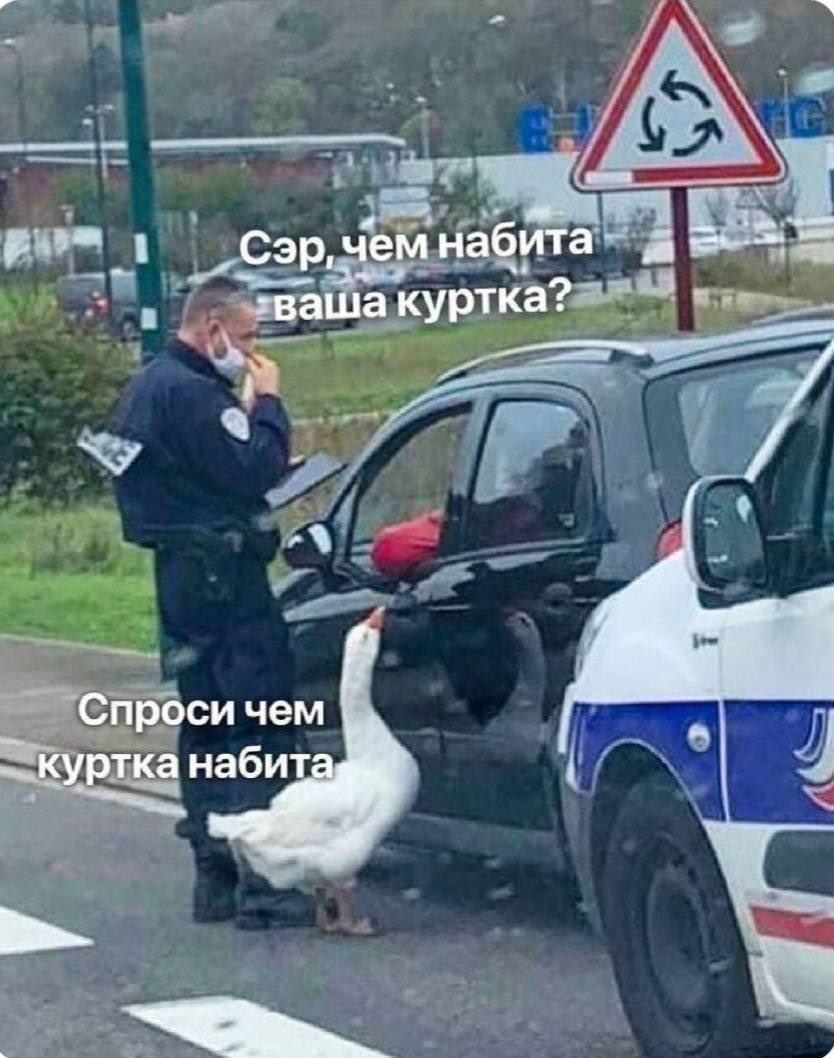 Мой любимый мем сегодня