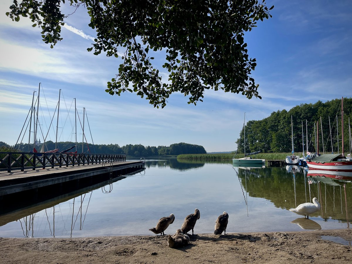 Dzień dobry Ro Dacy, witaj Oj Czyzno moja biało czerwona. Zanim zjadą się biegacze wraz z rodzinami jeszcze chwile mój jest ten kawałek podłogi. Tak sobie myśle że nawet jeśli przestane biegać całkowicie, to Wigry w sercu zostaną na zawsze i stałym punktem będą w każde wakacje 😍