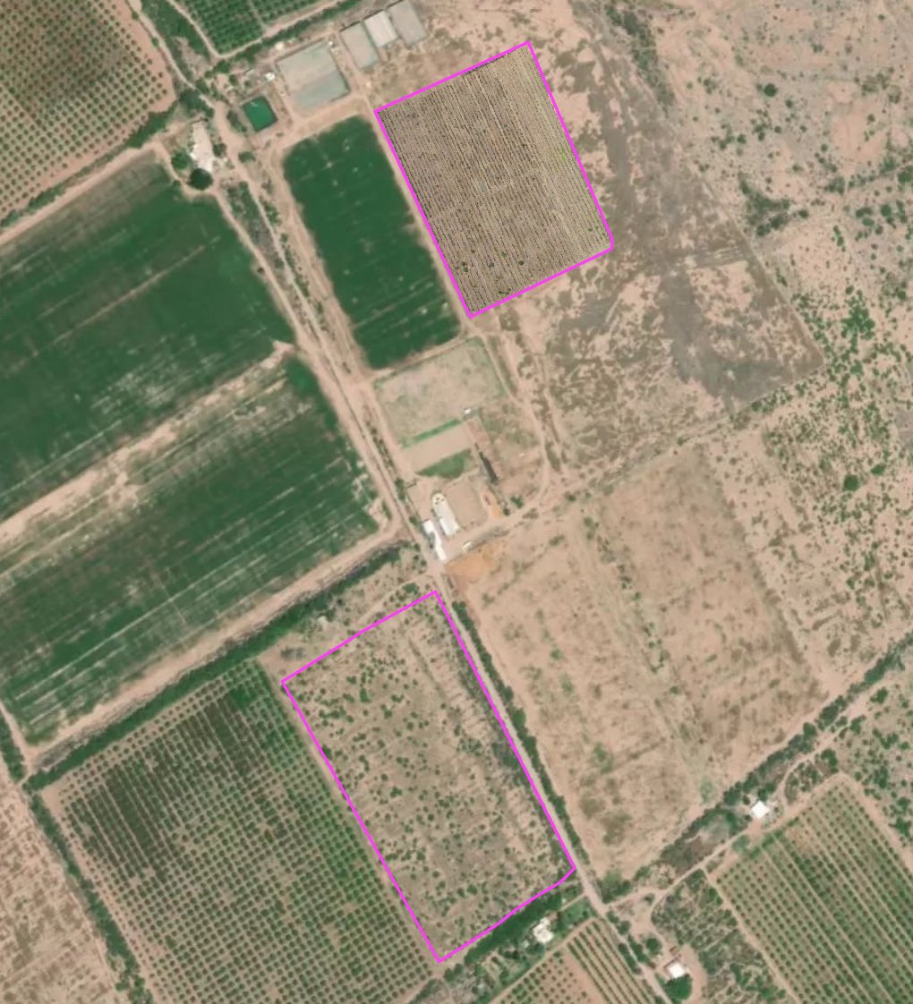 AgriPV10's tweet image. Hoy estuve analizando estos dos cultivos de agave para producción de bacanora. 
Hice la recolección de imágenes con el Mavic Air2S. Después las procesé usando #PIX4DFields y generé el índice de vegetación VARI. Pero, ¿qué diablos es eso? Ahora te explico 🧵