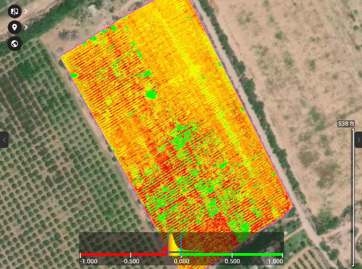 AgriPV10's tweet image. Hoy estuve analizando estos dos cultivos de agave para producción de bacanora. 
Hice la recolección de imágenes con el Mavic Air2S. Después las procesé usando #PIX4DFields y generé el índice de vegetación VARI. Pero, ¿qué diablos es eso? Ahora te explico 🧵