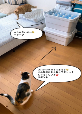MPD_bousai's tweet photo. ペットのための備えは飼い主の責任。【避難場所】同行避難に備えて要確認。【身元表示】名札やマイクロチップ、飼い主と一緒の写真など。【健康管理】混合ワクチンの接種などの感染症対策。【備蓄】フードや水、トイレ用品などを必要数。災害はいつ起きるか分かりません。日ごろの備えが大切です。 https://t.co/WLAX6xKuGA