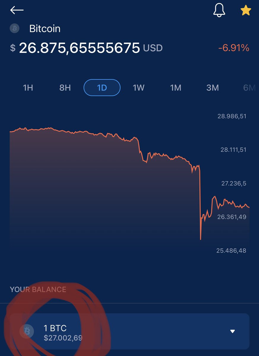 Long Journey - Finally a wholecoiner FAM 💫🚀