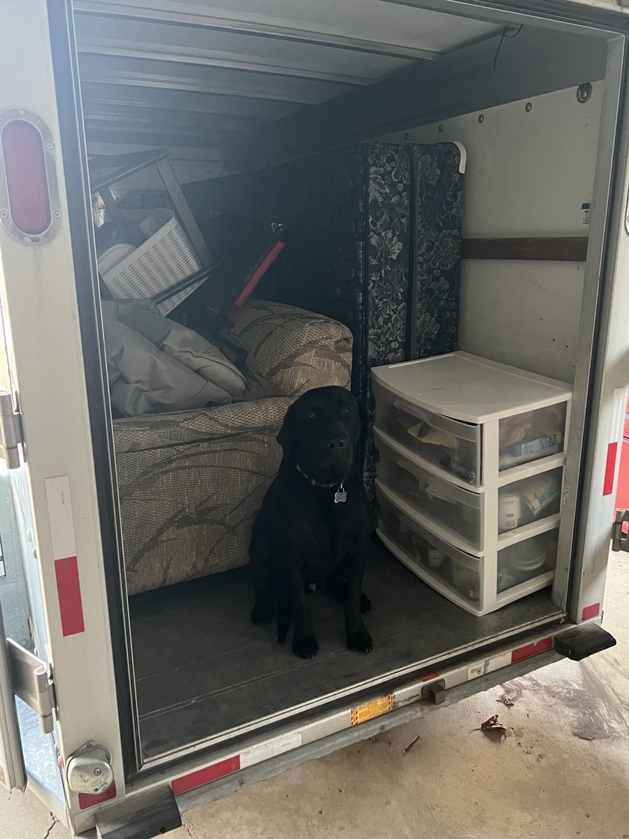 Gus_theblacklab's tweet image. They made the perfect spot for me! Let’s go! Close it up #backtocollege #collegelife #nodogsallowed #thegirldoesntknowyourname #gustheblacklab
